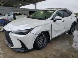 Salvage cars for sale at West Palm Beach, FL auction: 2024 Lexus NX 250 Premium