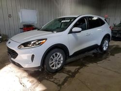 Salvage cars for sale at Franklin, WI auction: 2020 Ford Escape SE