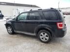 2010 Ford Escape Limited