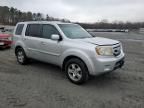 2009 Honda Pilot EXL