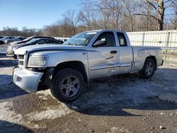 Salvage cars for sale at Ellwood City, PA auction: 2011 Dodge Dakota SLT