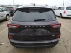 2023 Ford Escape ST Line Select