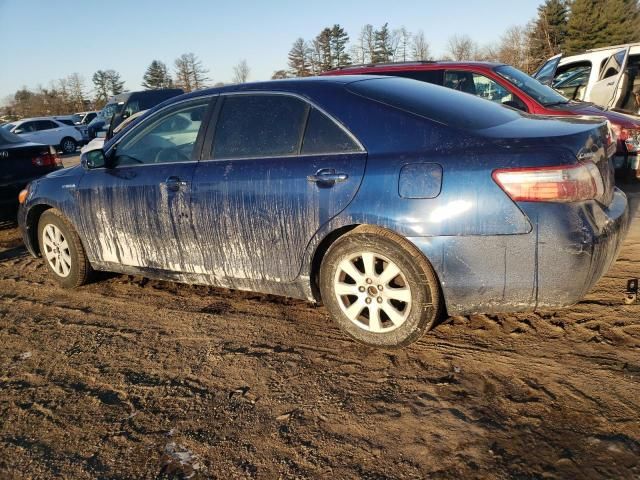 2008 Toyota Camry Hybrid