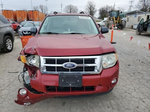 2010 Ford Escape XLT