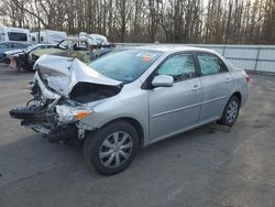 Salvage cars for sale from Copart Glassboro, NJ: 2011 Toyota Corolla Base