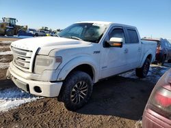 Salvage cars for sale at Brighton, CO auction: 2013 Ford F150 Supercrew