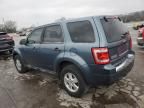 2012 Ford Escape XLS