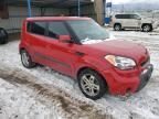 2010 KIA Soul +