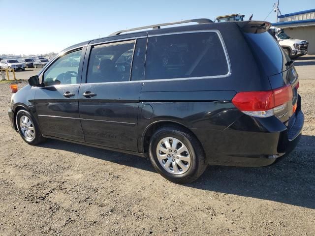 2008 Honda Odyssey EXL