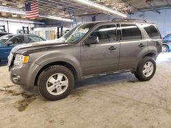 Ford Escape salvage cars for sale: 2011 Ford Escape XLT