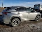 2020 Lexus NX 300H