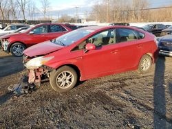 Toyota salvage cars for sale: 2010 Toyota Prius