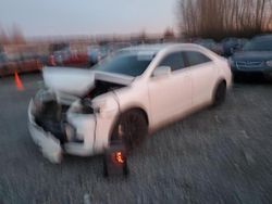 Salvage cars for sale at Arlington, WA auction: 2011 Toyota Camry Base