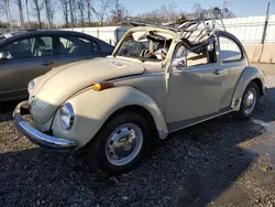 Salvage cars for sale at Spartanburg, SC auction: 1973 Volkswagen Beetle