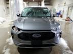 2023 Ford Escape ST Line Select