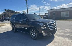 Salvage cars for sale at Orlando, FL auction: 2015 Cadillac Escalade Premium