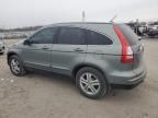 2010 Honda CR-V EXL