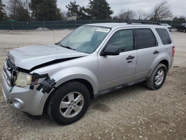 2011 Ford Escape XLT