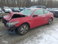 Vehiculos salvage en venta de Copart Baltimore, MD: 2010 Honda Accord EX