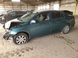 Vehiculos salvage en venta de Copart Phoenix, AZ: 2010 Toyota Corolla Base