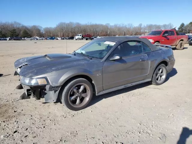 2002 Ford Mustang GT