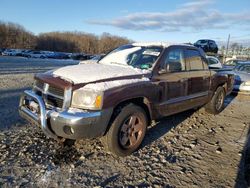 2005 Dodge Dakota Quad SLT en venta en Windsor, NJ