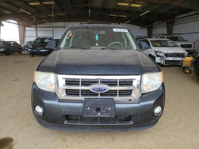 2009 Ford Escape XLT