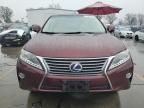 2013 Lexus RX 450H