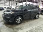 2019 Honda Pilot EXL