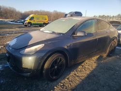 2023 Tesla Model Y en venta en Windsor, NJ