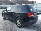 2011 KIA Sorento Base