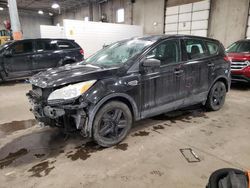 Vehiculos salvage en venta de Copart Blaine, MN: 2014 Ford Escape S