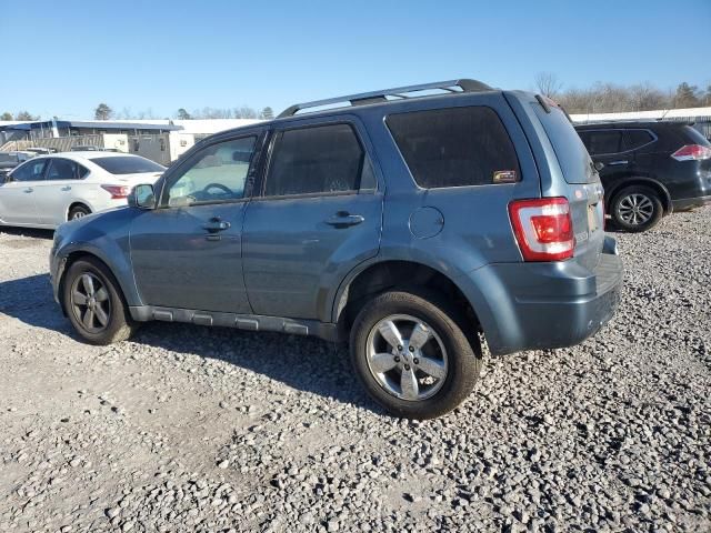 2010 Ford Escape Limited