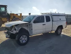 Salvage trucks for sale at Arcadia, FL auction: 2023 Toyota Tacoma Access Cab