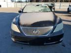 2009 Lexus LS 460