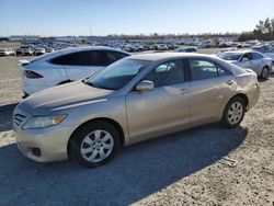 Toyota salvage cars for sale: 2010 Toyota Camry Base