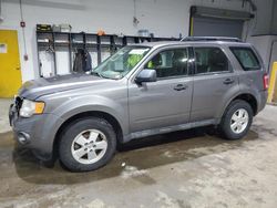 Ford Escape xls salvage cars for sale: 2012 Ford Escape XLS