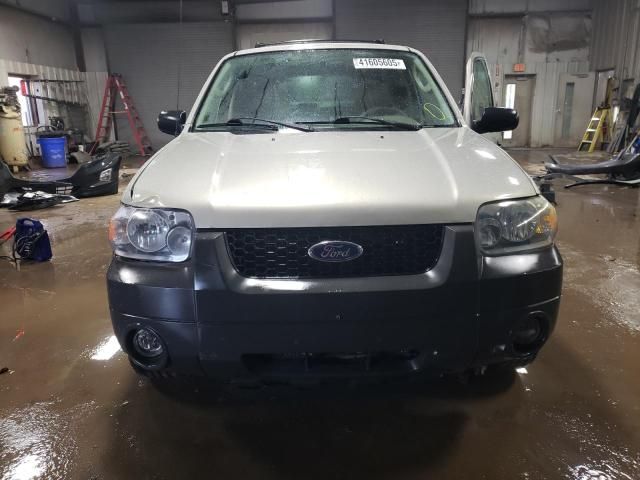 2006 Ford Escape XLT