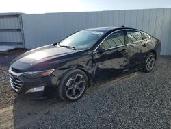 Salvage cars for sale at Riverview, FL auction: 2024 Chevrolet Malibu LT