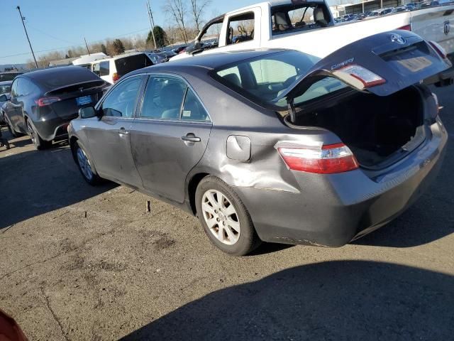 2009 Toyota Camry Hybrid