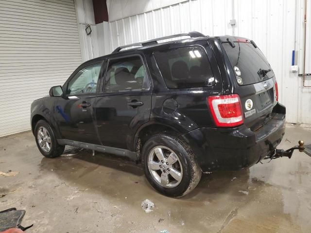 2010 Ford Escape Limited