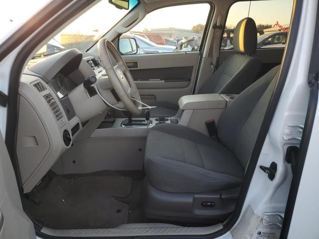 2009 Ford Escape XLT