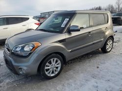 Salvage cars for sale at Wayland, MI auction: 2013 KIA Soul +