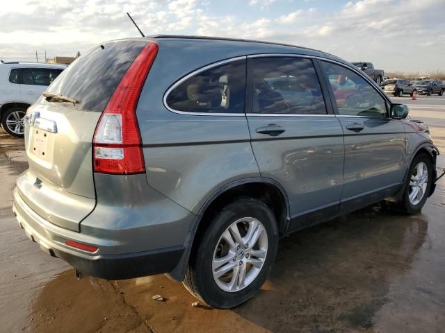 2010 Honda CR-V EXL