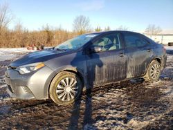 Toyota Corolla salvage cars for sale: 2016 Toyota Corolla L