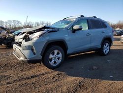 Toyota salvage cars for sale: 2020 Toyota Rav4 XLE