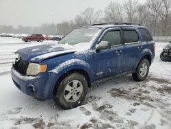 Salvage cars for sale at Ellwood City, PA auction: 2008 Ford Escape XLT