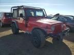 2002 Jeep Wrangler / TJ X