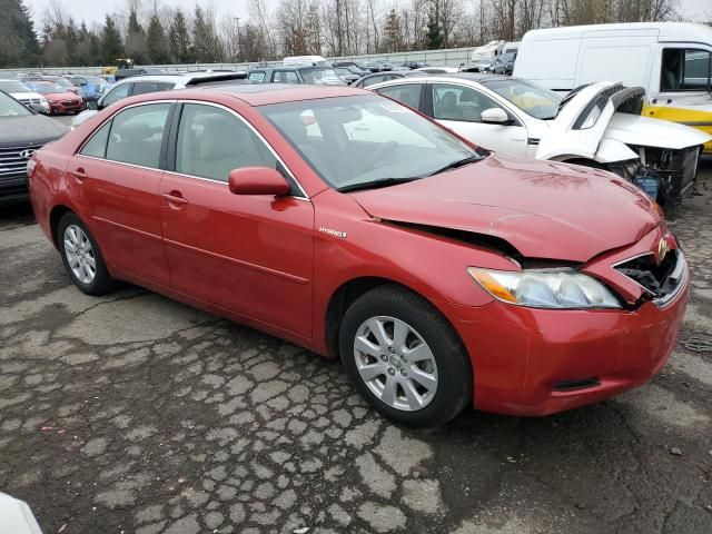 2009 Toyota Camry Hybrid