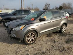 Salvage cars for sale at Oklahoma City, OK auction: 2013 Ford Escape SE